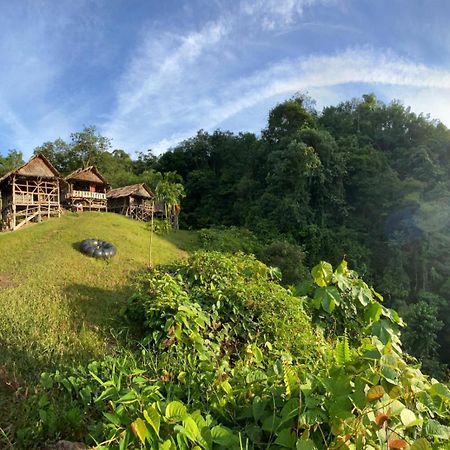Orangutantreksumatra & Lovely Jungle Lodge Only Book If You Are Treking With Us Bukit Lawang Eksteriør billede